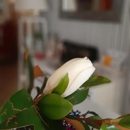 Rural San Pedro Guest house Fromista