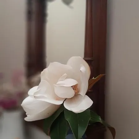 Rural San Pedro ゲストハウス Frómista