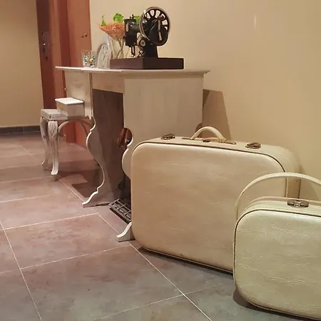 Rural San Pedro ゲストハウス