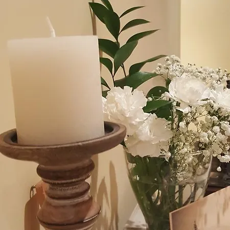 Rural San Pedro ゲストハウス