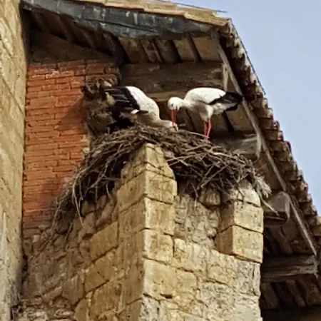 ゲストハウス Rural San Pedro