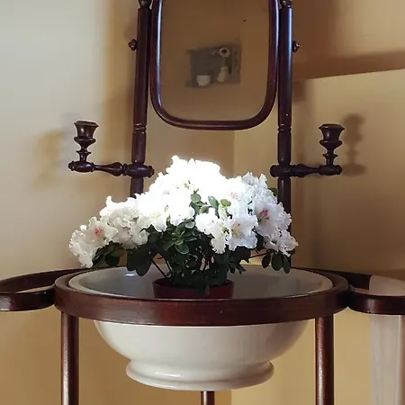 ゲストハウス Rural San Pedro