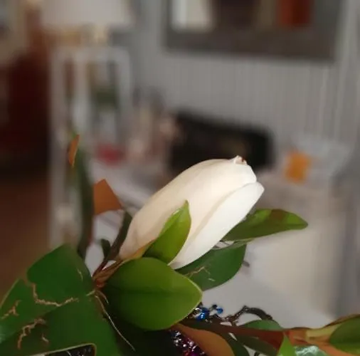 Rural San Pedro Pensionat Frómista