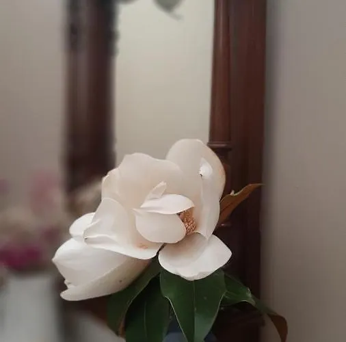 Rural San Pedro Pensionat Frómista