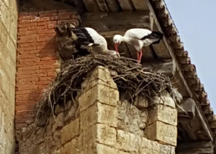 Gasthof Rural San Pedro