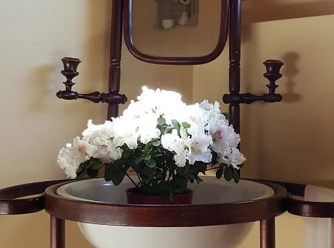 Gasthof Rural San Pedro